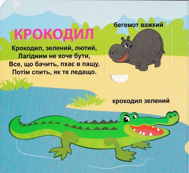 Хто який? 33 віконця 1026001 фото
