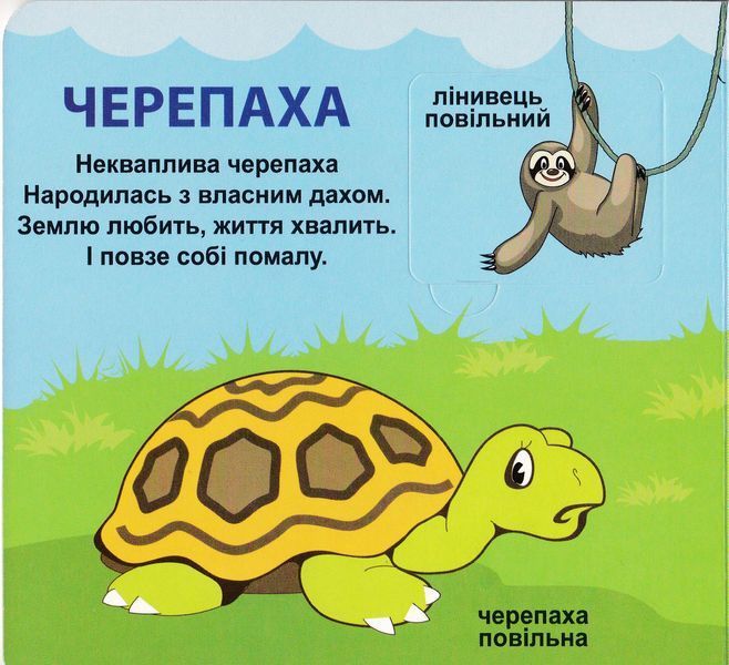 Хто який? 33 віконця 1026001 фото