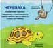 Хто який? 33 віконця 1026001 фото 6