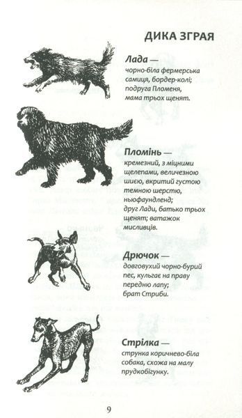 Зграя. Прихований ворог. Книга 2 1005768 фото