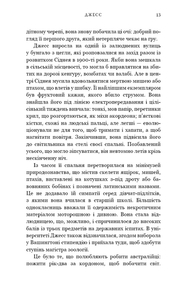 Кінь 1030139 фото