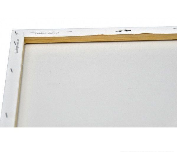 Картина по номерах Bookopt Вечірнє місто 40х50 (BK1226) 1004751 фото