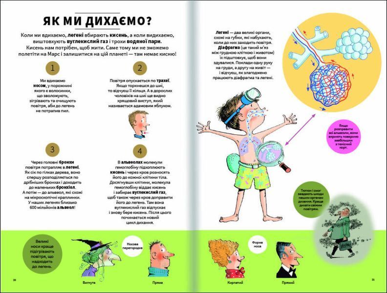 Тіло людини зовні 1007781 фото