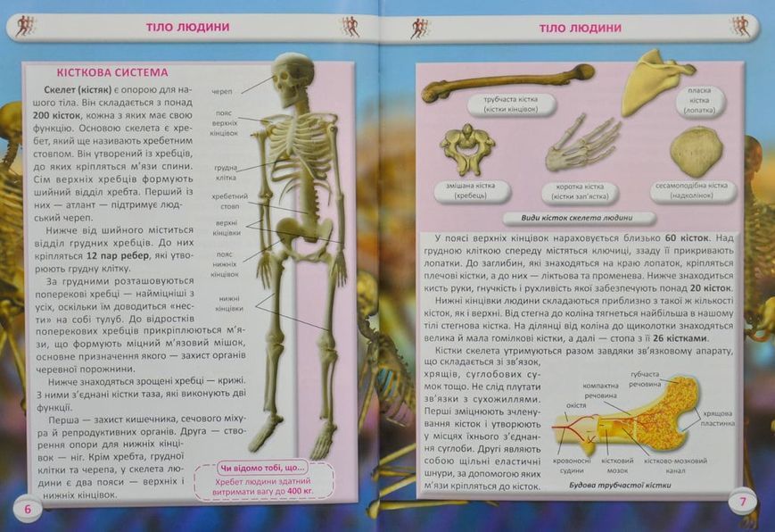Усе про тіло людини. 100 цікавих фактів 167482 фото