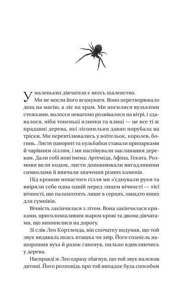 Що приховує ліс 1031272 фото