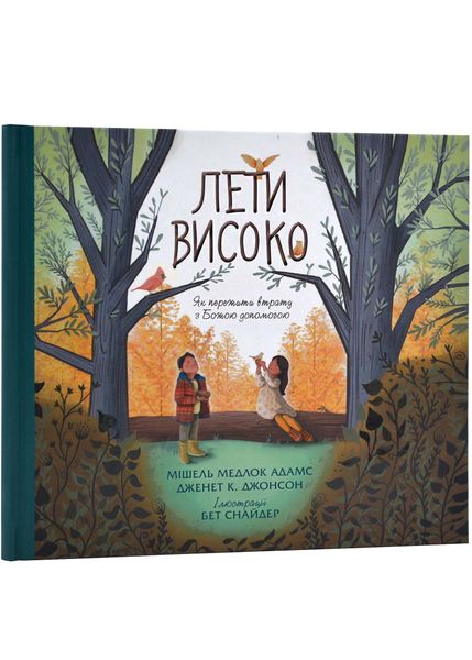 Лети високо. Як перемогти втрату з Божою допомогою 1024218 фото