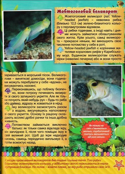 Підводний світ. Дитяча енциклопедія (жовта) 165657 фото