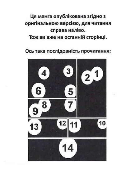 Радіант. Том 4 1020212 фото