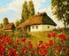 Картина по номерах Bookopt Українська хата 40x50 (BK1470) 1011354 фото 1