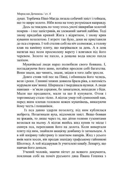 Криничар (м'яка обкладинка) 122281 фото