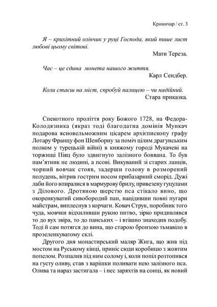 Криничар (м'яка обкладинка) 122281 фото
