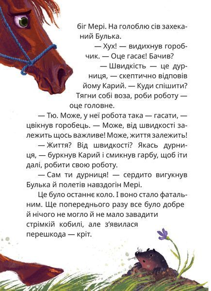 Мері 1024703 фото