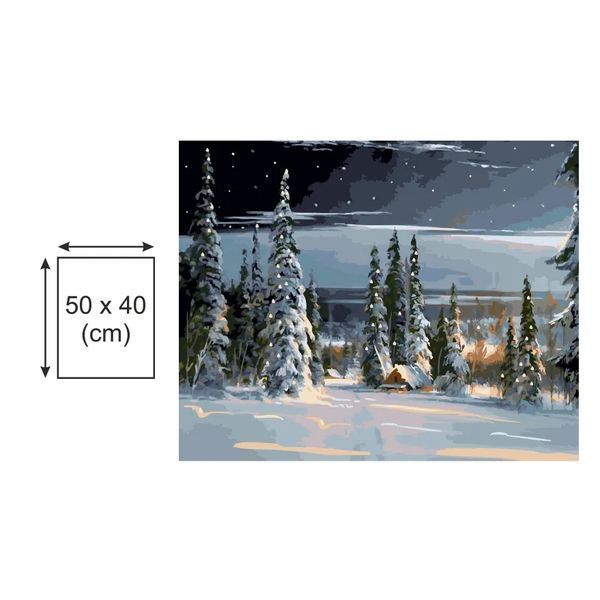 Картина по номерах Bookopt Холодно взимку 40х50 (BK2172) 1011297 фото