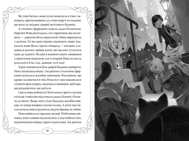Опівнічні коти. Школа фелідксів. Книга 1 1023969 фото