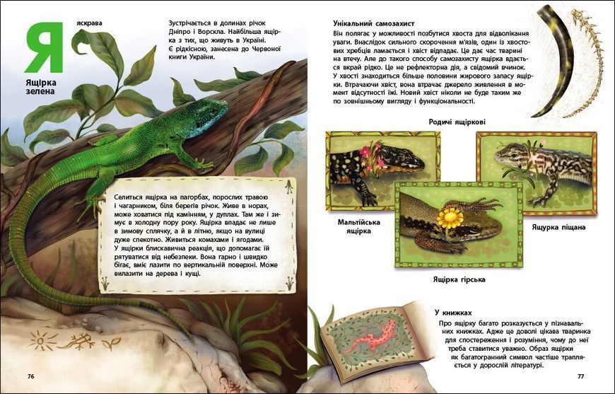 Живий світ України. Тварини та їх родичі в природі й у книжках 1034368 фото