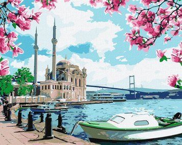 Картина за номерами Яскравий Стамбул KHO2757 40х50 см 1013668 фото