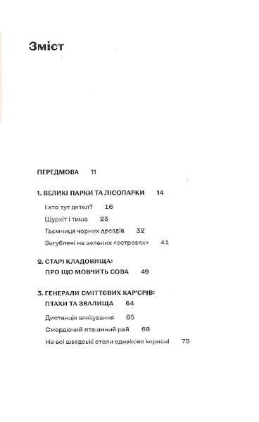 Птахи в місті. Життя та виживання в бетонних джунглях 1019285 фото