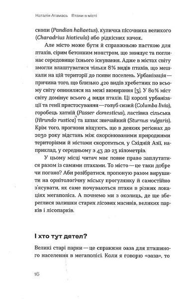 Птахи в місті. Життя та виживання в бетонних джунглях 1019285 фото