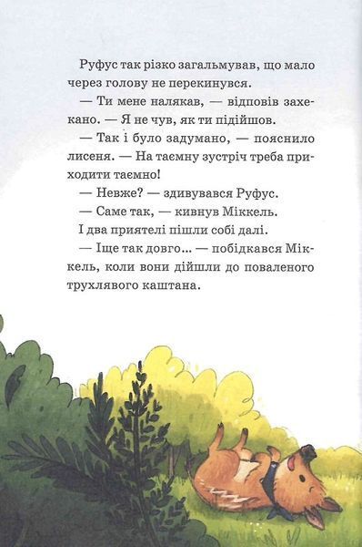 Герої дикого лісу. Порятунок від смутку 1019616 фото