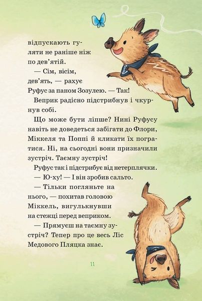 Герої дикого лісу. Порятунок від смутку 1019616 фото