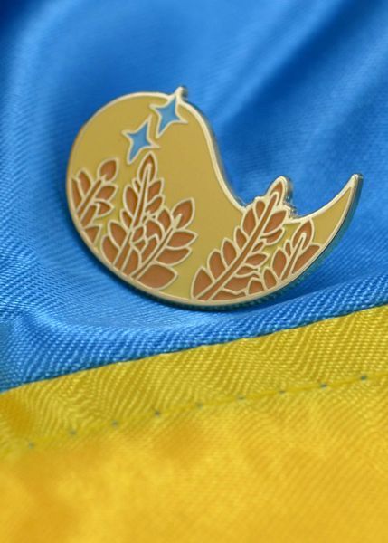 Пін (значок) Bookopt Ніч 1023087 фото