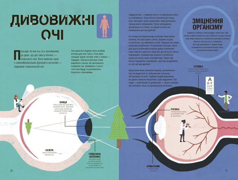 Неймовірна пригода бути людиною. Твоє надзвичайне тіло та як у ньому жити 1010270 фото