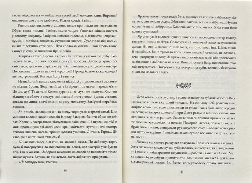 Завірюха 168050 фото
