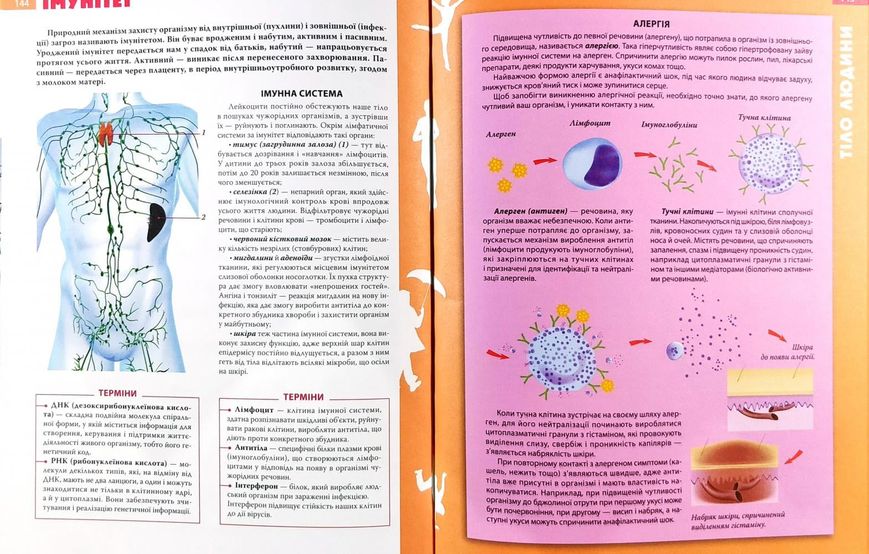 Енциклопедія необхідних знань школяра 131742 фото