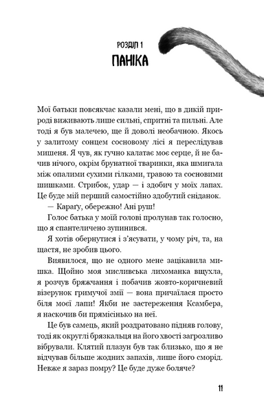 Діти лісу. Незвіданий край. Книга 4 1022955 фото