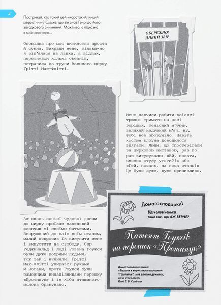 Острів таємниць. Надзвичайна детективна пригода 1006319 фото