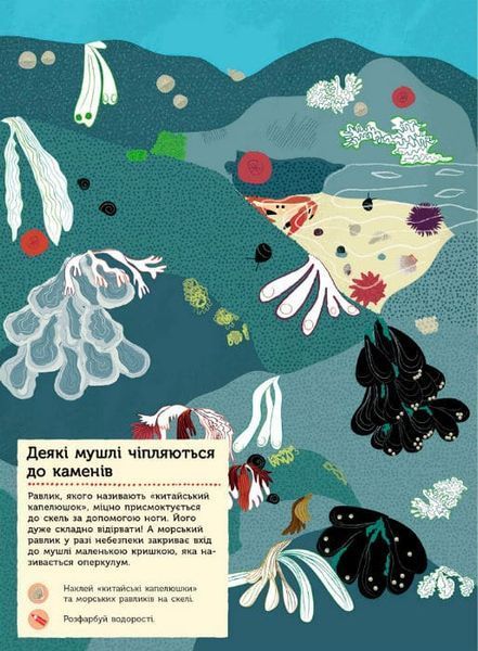 Моя книга природи. На березі моря 162057 фото