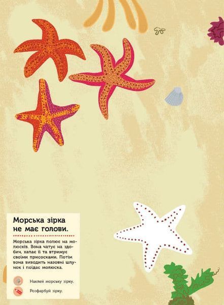 Моя книга природи. На березі моря 162057 фото