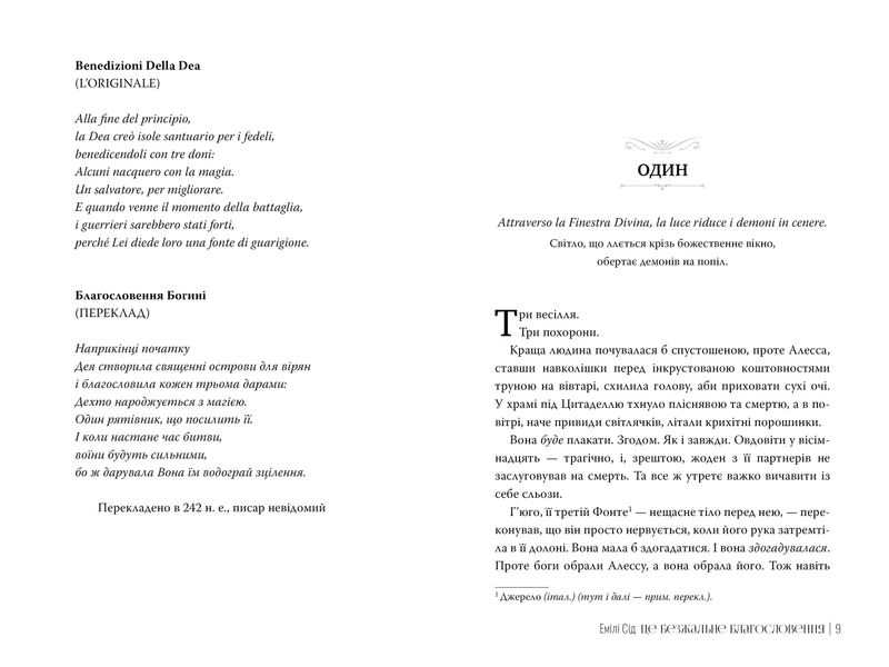 Остання Фінестра. Книга 1. Це безжальне благословення 1027294 фото