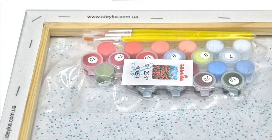 Розпис по номерах Дивовижні маки 40х50 1003865 фото