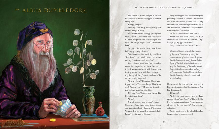 Harry Potter and the Philosopher&rsquo;s Stone Illustrated Edition 1023550 фото