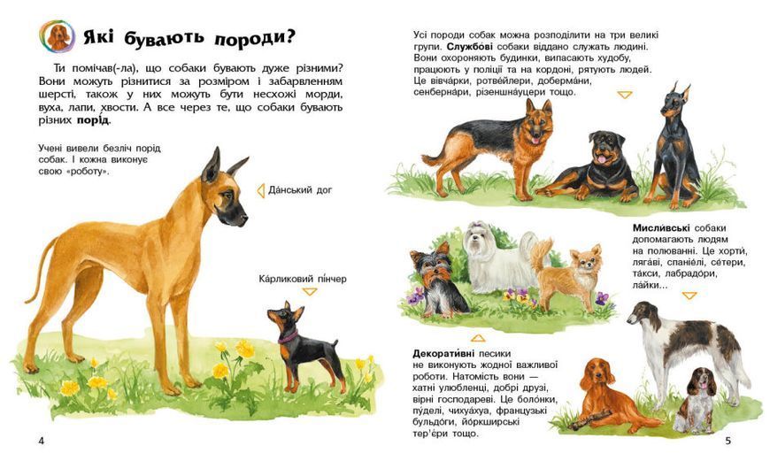 Собаки. Енциклопедія дошкільника 1014668 фото