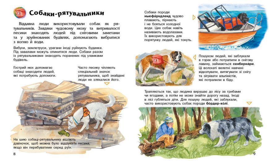 Собаки. Енциклопедія дошкільника 1014668 фото