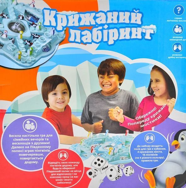 Гра 'Крижаний лабіринт' FunGame UKB-B0002 1007526 фото