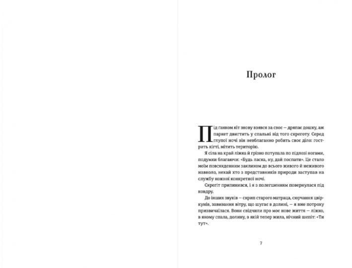 Ідеальна незнайомка 1009232 фото