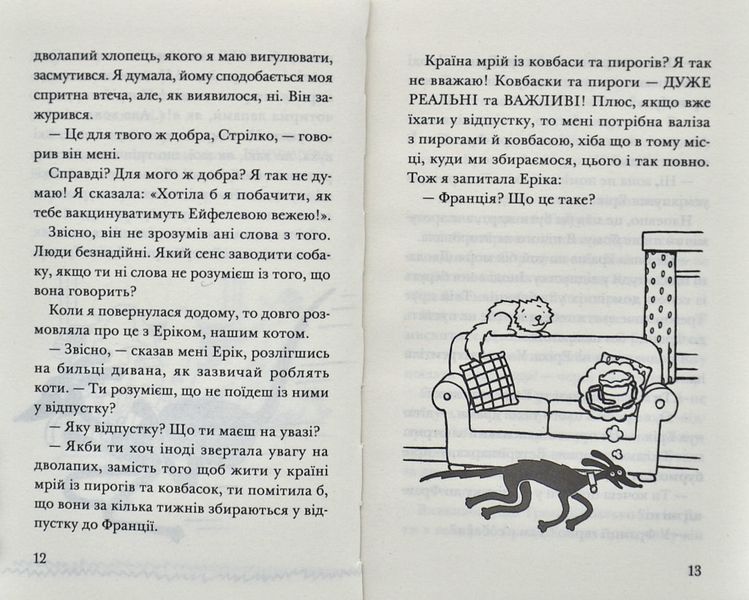 Викрадення! Гаряче літо Ракети на чотирьох лапах 1006027 фото