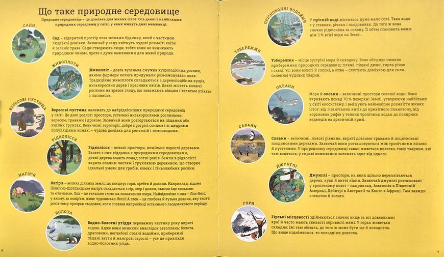 Як допомогти їжачкові та захистити полярного ведмедя 1002663 фото
