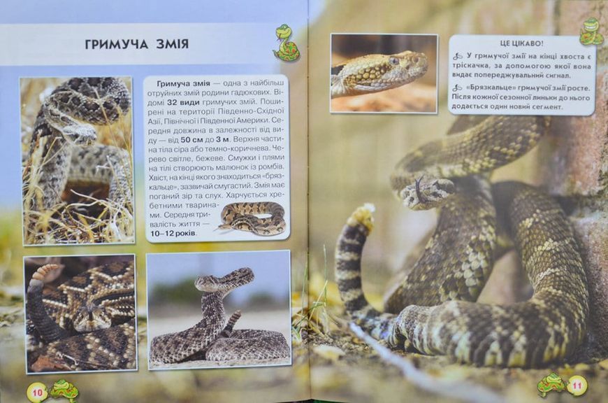 Змії. Світ навколо нас 166764 фото