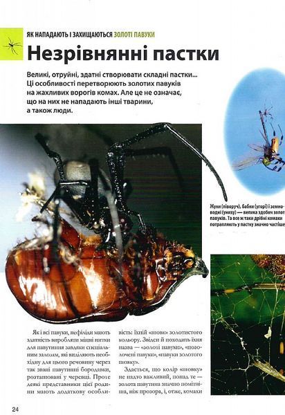 Велика книга комах 1021272 фото