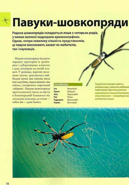 Велика книга комах 1021272 фото
