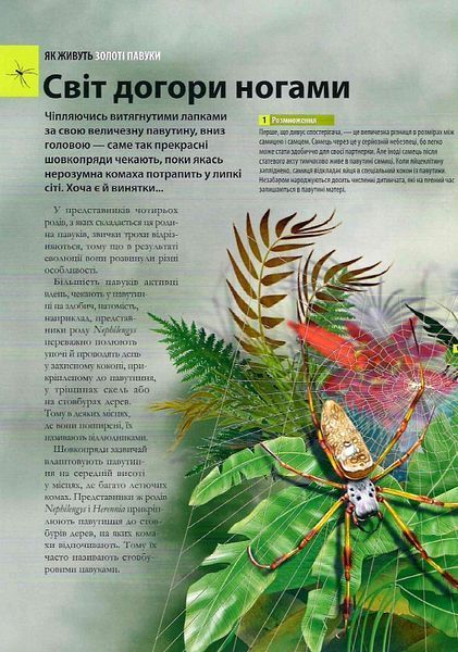 Велика книга комах 1021272 фото
