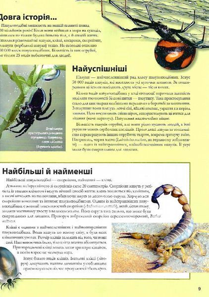 Велика книга комах 1021272 фото