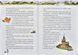 Сньофрід із Лугової долини. Неймовірна історія порятунку Північляндії 1003103 фото 5