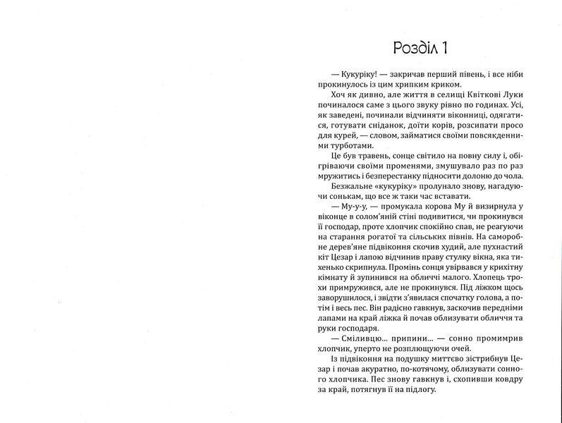 Елайджі у світі ельфів, або Алекса мій Ельф 1022825 фото