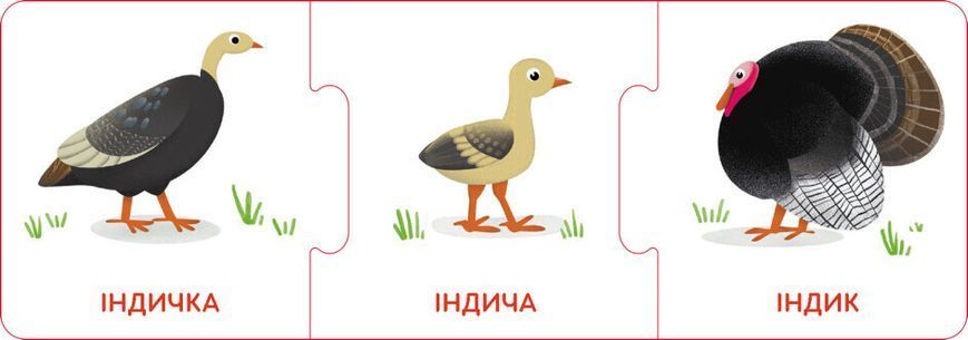 Логічні ланцюжки. Малюки тварини та їхні родини 1022168 фото