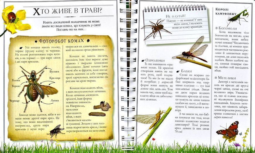 Boys&rsquo; Book. Підручник відважного мандрівника 1004793 фото